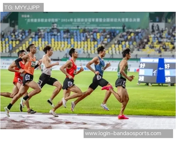 运动最新数据武汉网球队的拼搏历程与荣耀时刻全景纪实